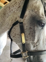 Paarden halster plaat gegraveerd messing incl. klinknagels Paarden halster plaat gegraveerd messing incl. klinknagels