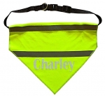 Honden bandana bedrukt met naam glow in the dark
