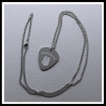 Parkinson penning guitar pick RVS inclusief rvs ketting